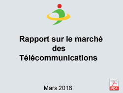 Report on the telecommunications market